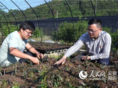 中国建设银行安徽省分行:践行“四扶”理念 决胜脱贫攻坚
