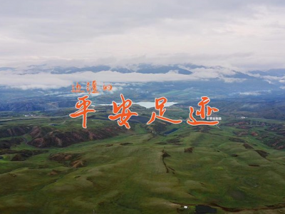 从一头牛到一个茶园,平安产险一笔一划写好普惠金融大文章